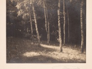 thmb-josef-sudek-mytina-v-brezovem-haji-1918-1922-vintage-gelatin-silver-print-217x273-cm-5574.jpg