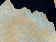 thmb-m-1-12845.JPG