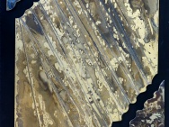 thmb-m-8-12849.JPG